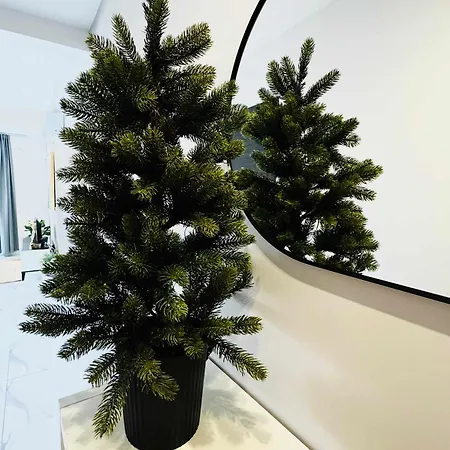 A Stylishly Chic アパート